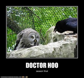 DOCTOR HOO