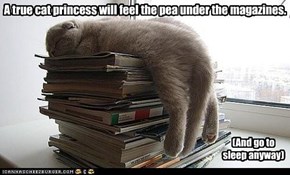 Princess Kitty and the Pea