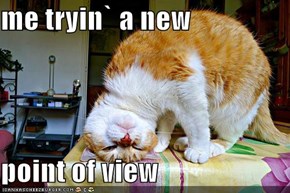 me tryin` a new   point of view