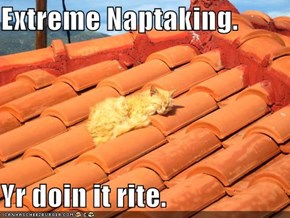 Extreme Naptaking.  Yr doin it rite.