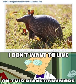 The Right to Bear Armadillos
