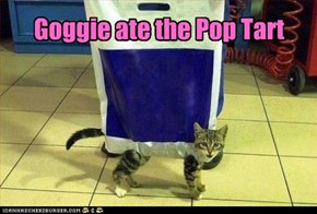 Goggie ate the Pop Tart
