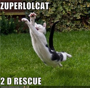 ZUPERLOLCAT  2 D RESCUE