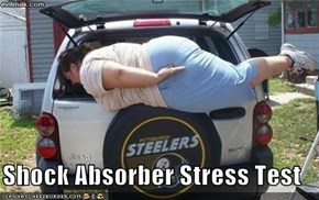 Shock Absorber Stress Test