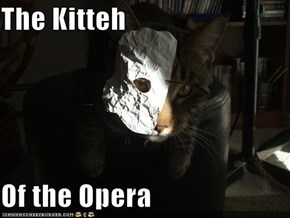 The Kitteh  Of the Opera