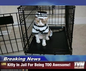 Breaking News - Kitty In Jail For Being TOO Awesome!