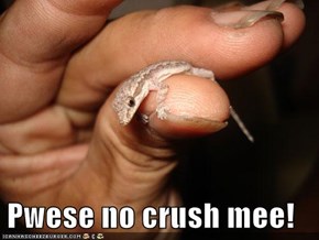 Pwese no crush mee!