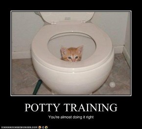 POTTY TRAINING