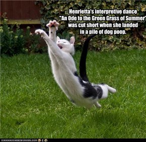 Henrietta's interpretive dance "An Ode to the Green Grass of Summer" was cut short when she landed in a pile of dog poop.