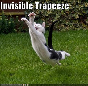 Invisible Trapeeze