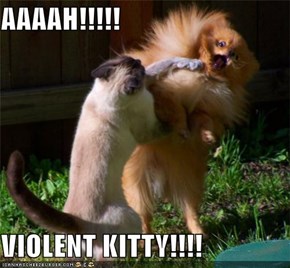 AAAAH!!!!!  VIOLENT KITTY!!!!