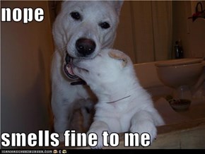nope  smells fine to me