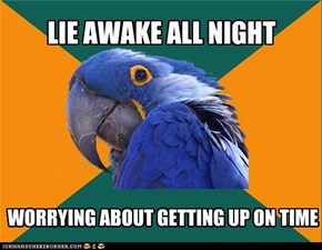 Paranoid Parrot: Just Can't Relax