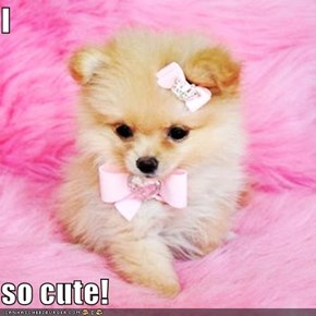 I  so cute!
