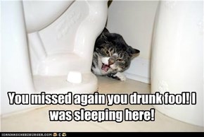 You missed again you drunk fool! I was sleeping here!