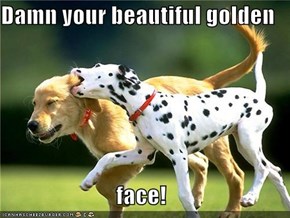 Damn your beautiful golden  face!