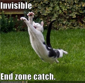 Invisible  End zone catch. 