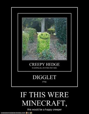 IF THIS WERE MINECRAFT,