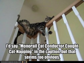 I'd say "Monorail Cat Conductor Caught Cat-Napping" in the caption, but that seems too obvious.