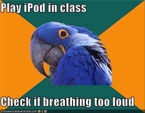 Paranoid Parrot: Song Stops, Everything Seems Quiet