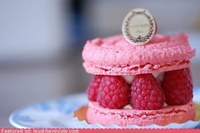 Epicute: Pink Raspberry Meringue