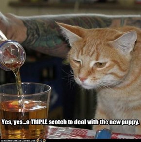 Yes, yes...a TRIPLE scotch to deal with the new puppy.