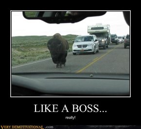LIKE A BOSS...