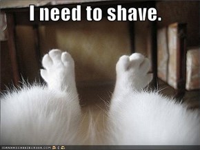 I need to shave.