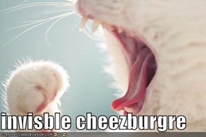 invisble cheezburgre
