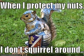 When I protect my nuts...  I don't squirrel around...