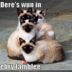 Dere's wun in  ebry famblee.