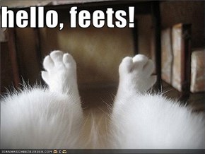 hello, feets!