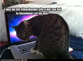 u wuz on teh cheezburger site n not say hai to basement cat for me?