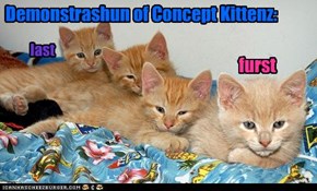 Demonstrashun of Concept Kittenz: