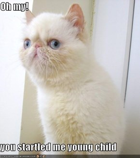 Oh my!  you startled me young child