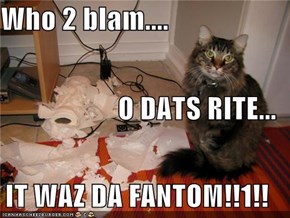 Who 2 blam.... O DATS RITE... IT WAZ DA FANTOM!!1!!