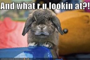 And what r u lookin at?!