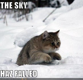 THE SKY  HAZ FALLED