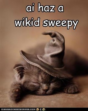 ai haz a wikid sweepy