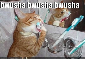 bwusha bwusha bwusha