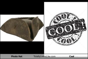 Pirate Hat Totally Looks Like Cool