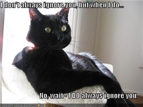 I don't always ignore you, but when I do...  No, wait - I DO always ignore you.