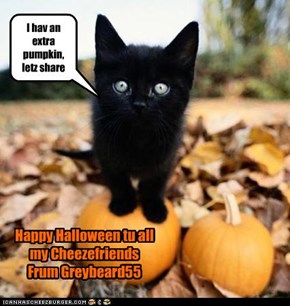 I hav an extra pumpkin, letz share