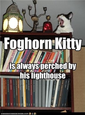 Foghorn kitty