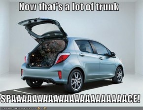 Now that's a lot of trunk