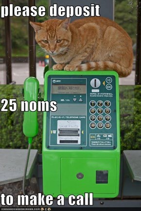 please deposit 25 noms  to make a call