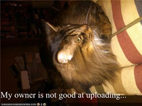 My owner is not good at uploading...