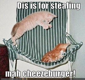 Dis is for stealing  mah cheezeburger!