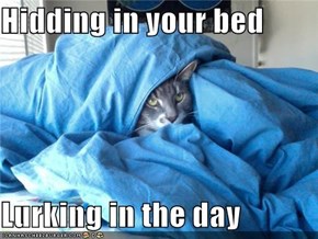 Hidding in your bed  Lurking in the day