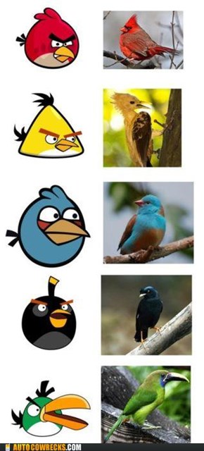 Angry Birds IRL